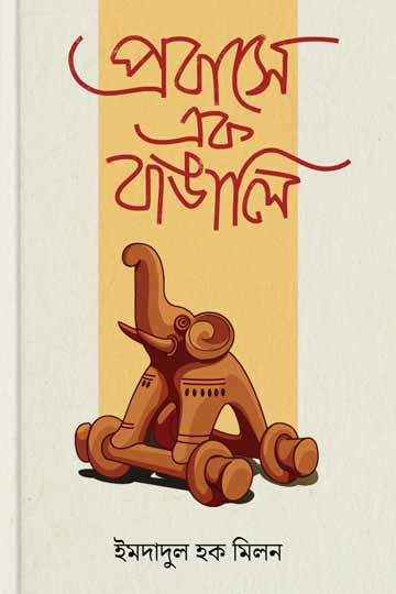 Pastdan mushukni tomosha qiling